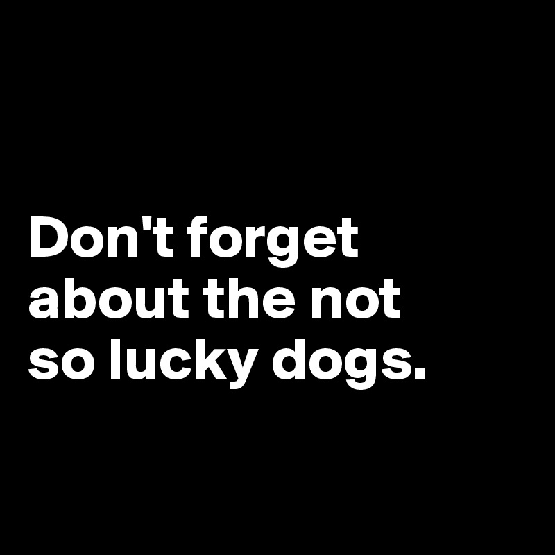 


Don't forget about the not 
so lucky dogs.

