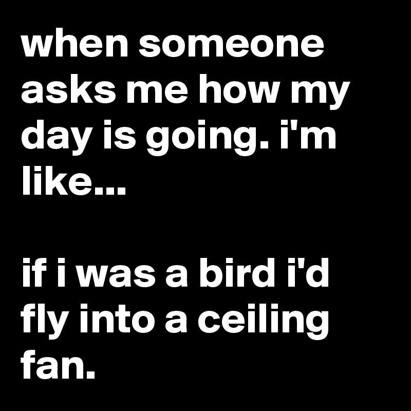 when someone asks me how my day is going. i'm like...

if i was a bird i'd fly into a ceiling fan.