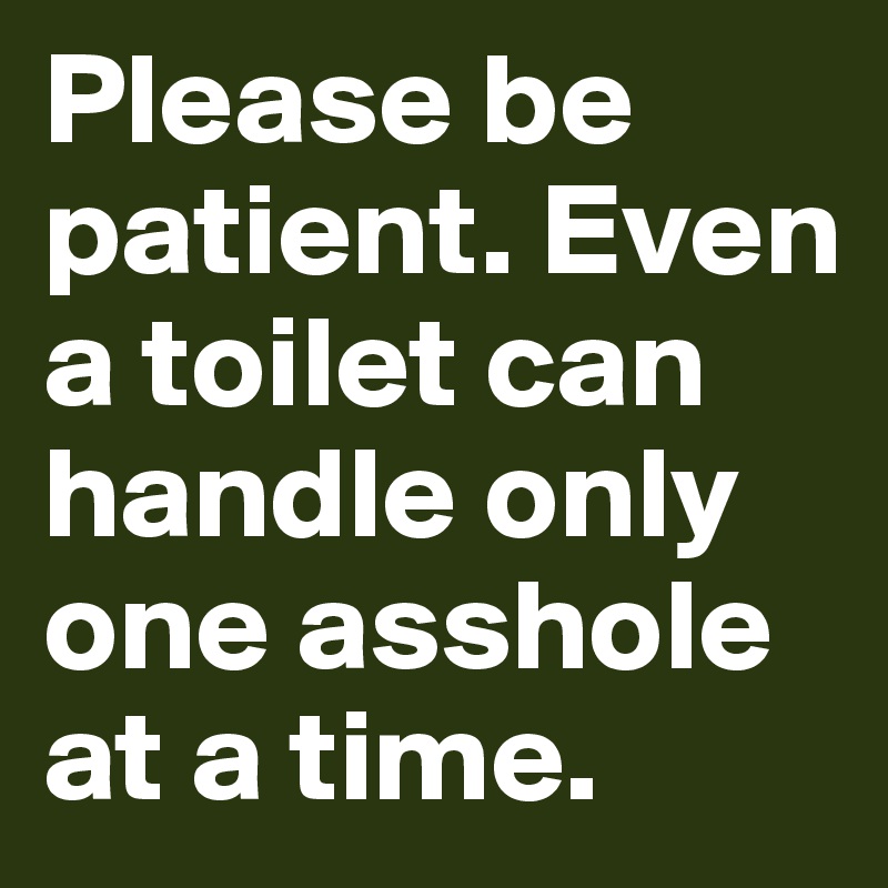Please be patient. Even a toilet can handle only one asshole at a time.