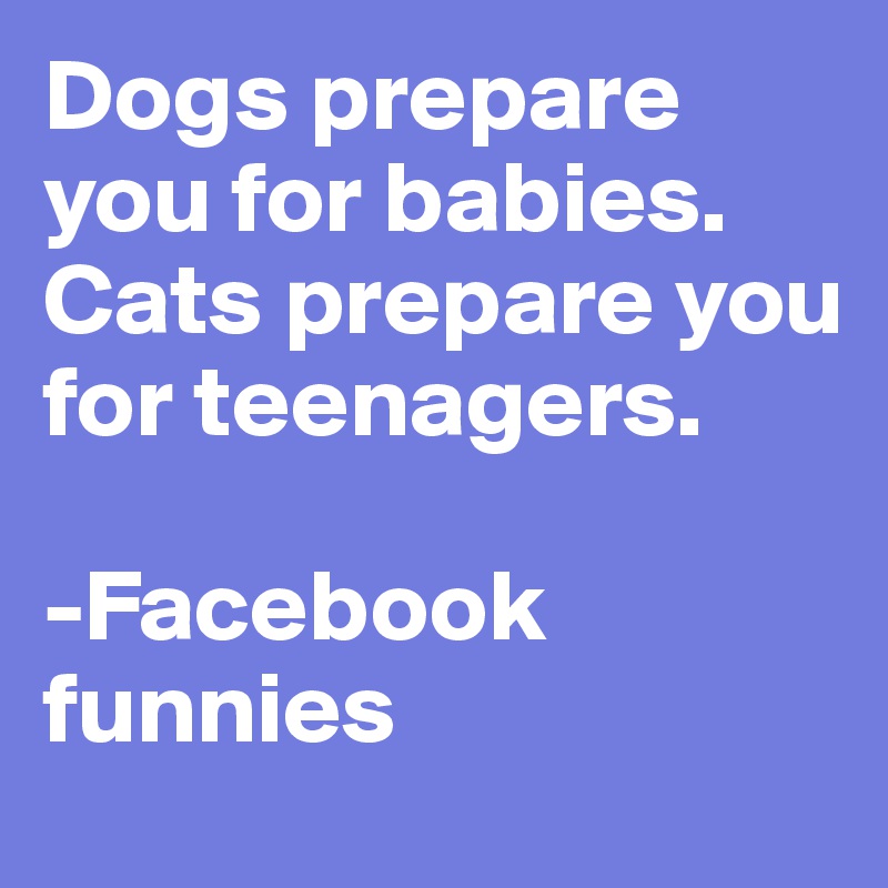 Dogs prepare you for babies.
Cats prepare you for teenagers.

-Facebook funnies