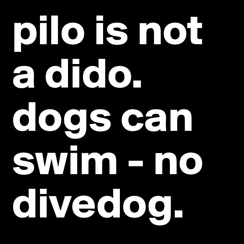 pilo is not a dido. dogs can swim - no divedog.