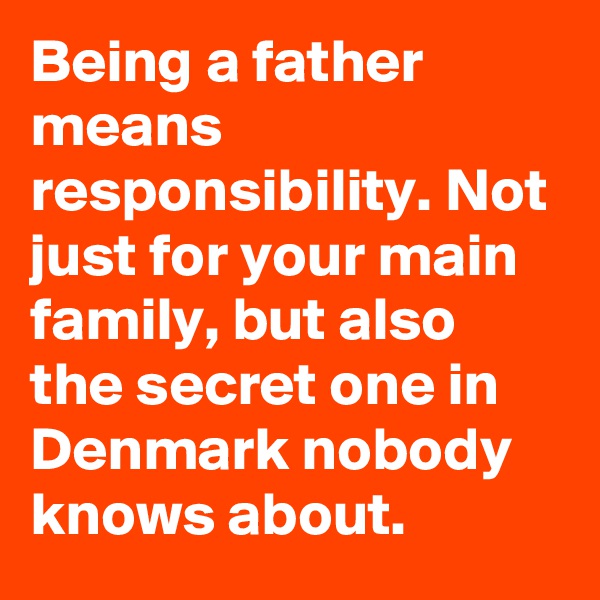 Being a father means responsibility. Not just for your main family, but also the secret one in Denmark nobody knows about.