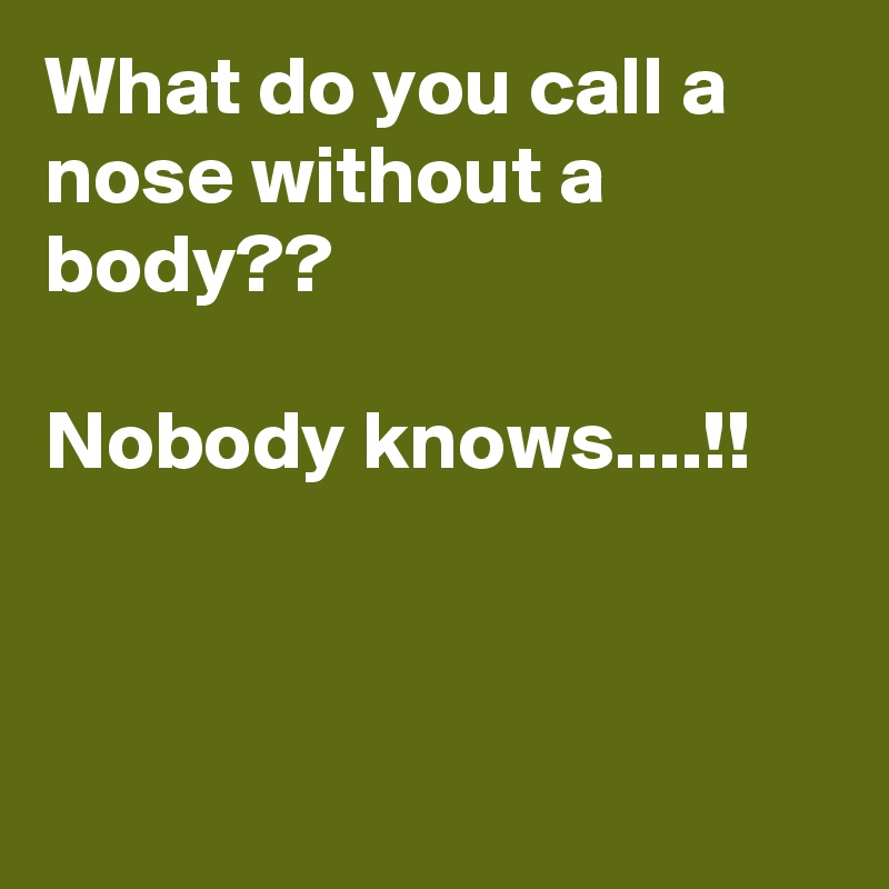 What do you call a nose without a body??

Nobody knows....!!



