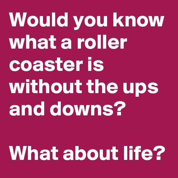 Would you know what a roller coaster is without the ups and downs? 

What about life? 