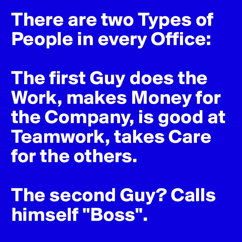 There are two Types of People in every Office:

The first Guy does the Work, makes Money for the Company, is good at Teamwork, takes Care for the others.

The second Guy? Calls himself "Boss".