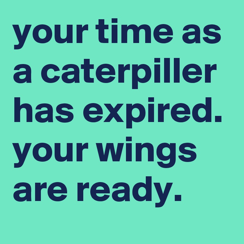 your time as a caterpiller has expired. your wings are ready.