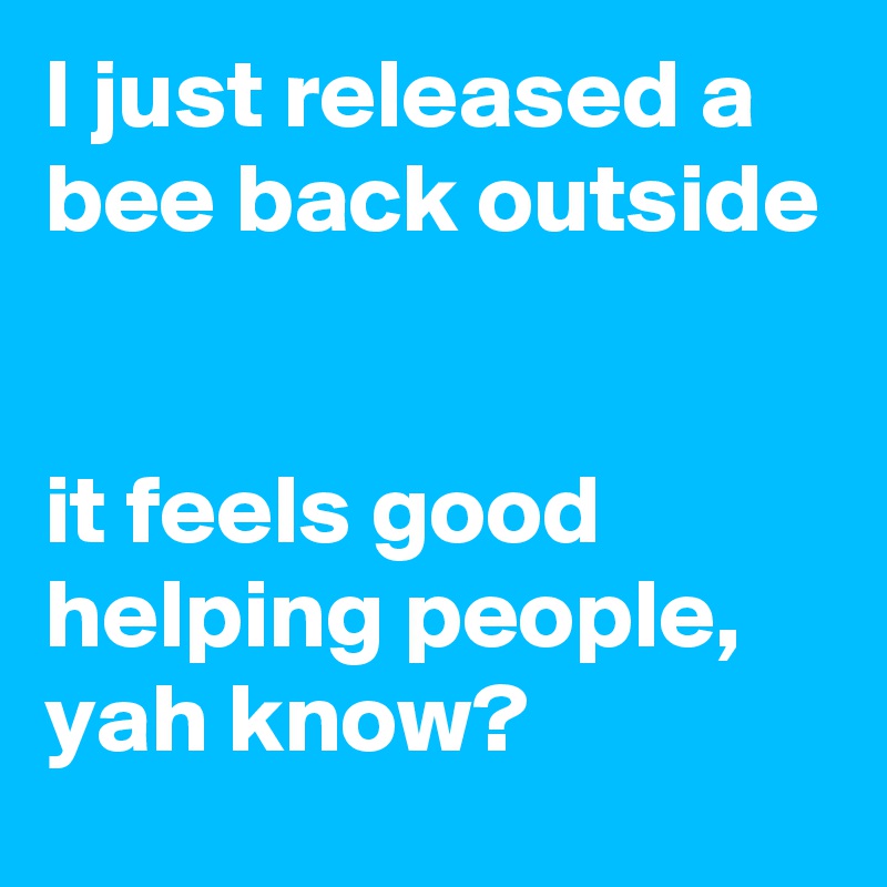 I just released a bee back outside


it feels good helping people, yah know? 