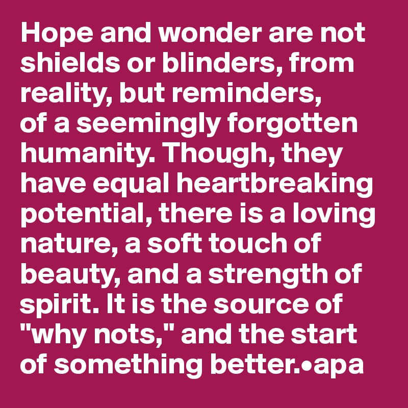 Hope and wonder are not shields or blinders, from reality, but reminders,
of a seemingly forgotten humanity. Though, they have equal heartbreaking potential, there is a loving nature, a soft touch of beauty, and a strength of spirit. It is the source of "why nots," and the start of something better.•apa