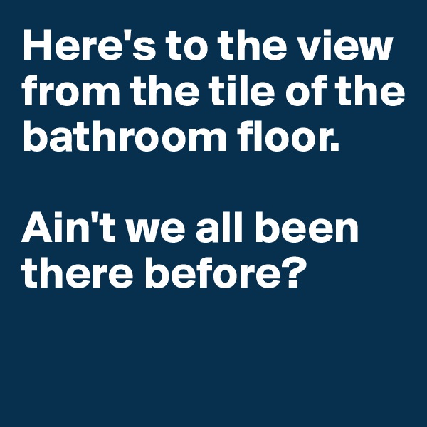 Here's to the view from the tile of the bathroom floor. 

Ain't we all been there before?

