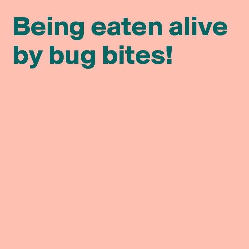 Being eaten alive by bug bites!




