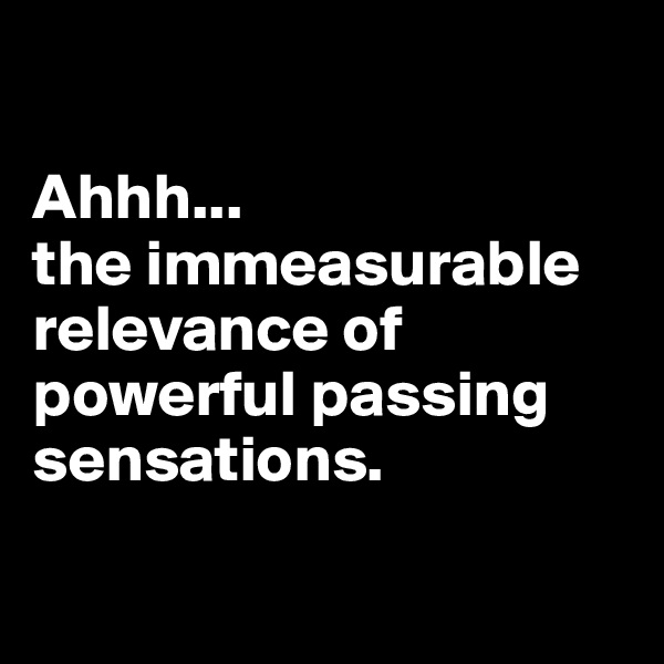 

Ahhh...
the immeasurable relevance of powerful passing sensations.

