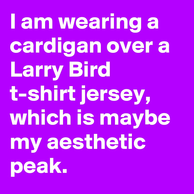 I am wearing a cardigan over a Larry Bird t-shirt jersey, which is maybe my aesthetic peak.