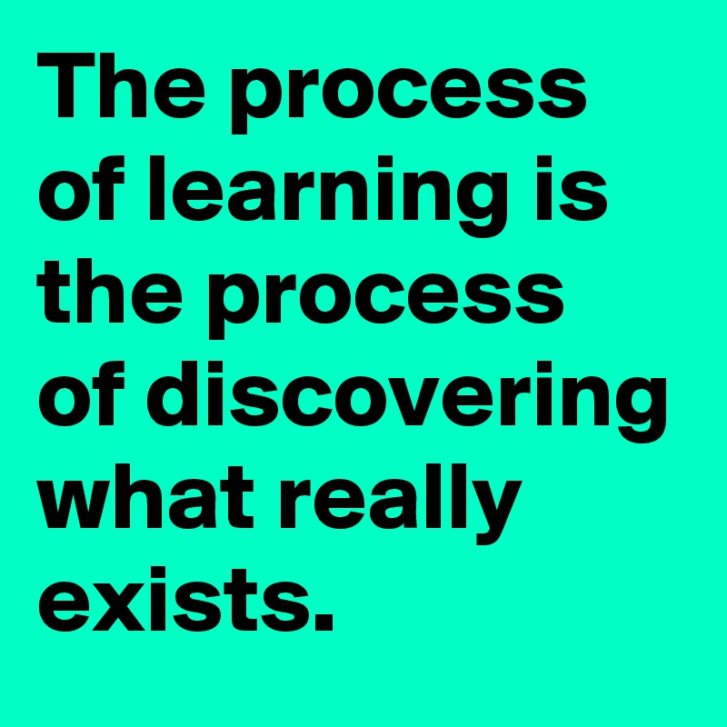 The process of learning is the process of discovering what really exists.