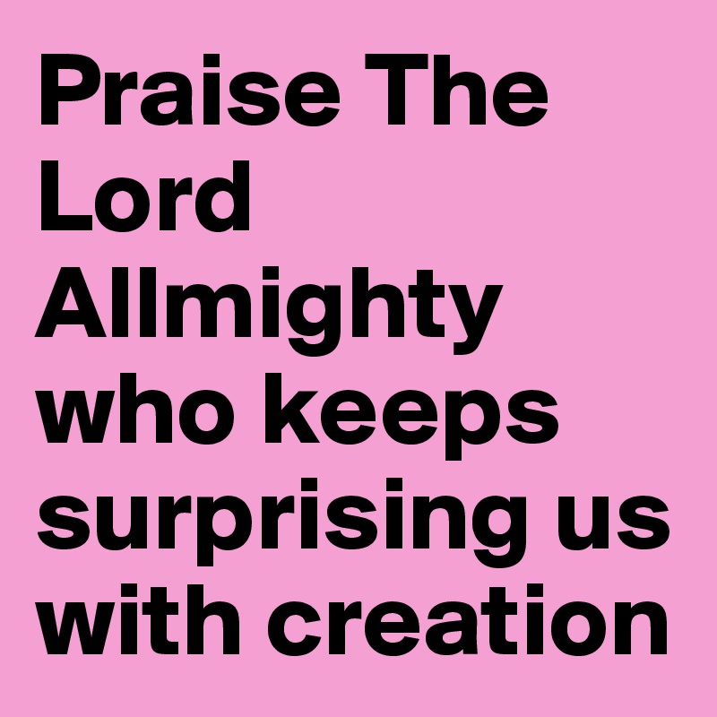 Praise The Lord Allmighty who keeps surprising us with creation