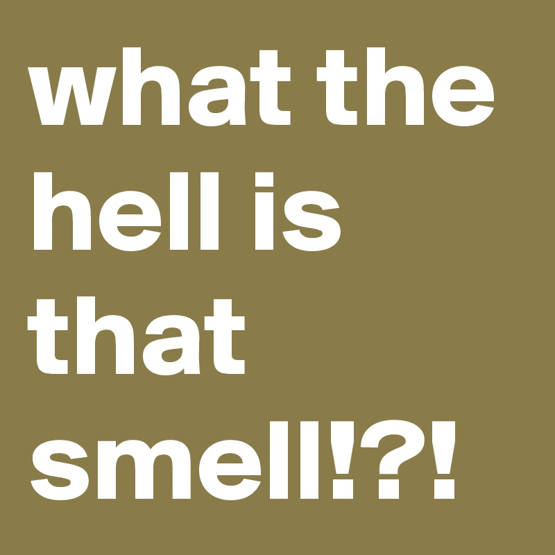 what the hell is that smell!?!