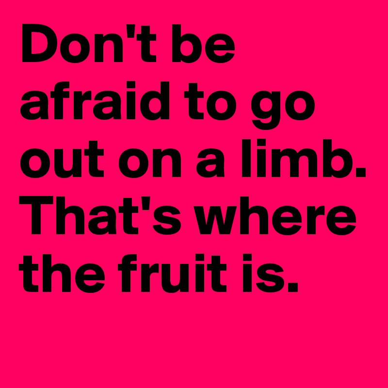 Don't be afraid to go out on a limb. That's where the fruit is. 