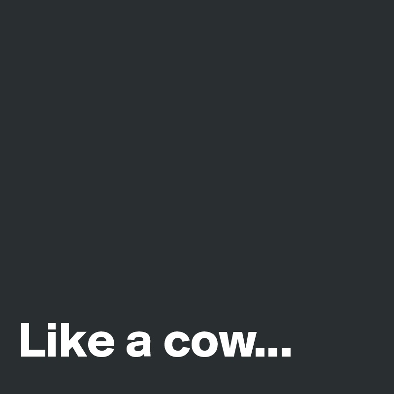 





Like a cow...