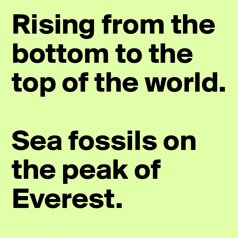 Rising from the bottom to the top of the world.

Sea fossils on the peak of Everest.