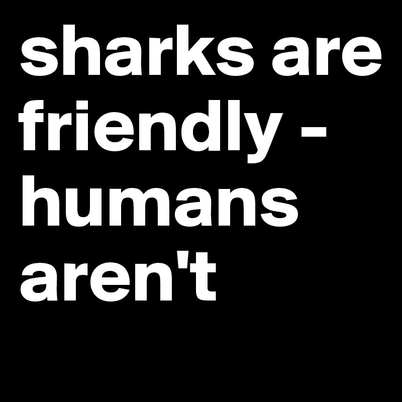 sharks are friendly - humans aren't