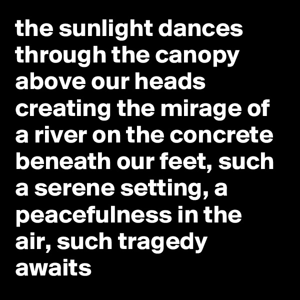 the sunlight dances through the canopy above our heads creating the mirage of a river on the concrete beneath our feet, such a serene setting, a peacefulness in the air, such tragedy awaits