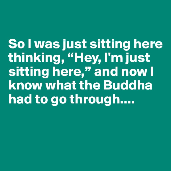 

So I was just sitting here thinking, “Hey, I'm just sitting here,” and now I know what the Buddha had to go through....


