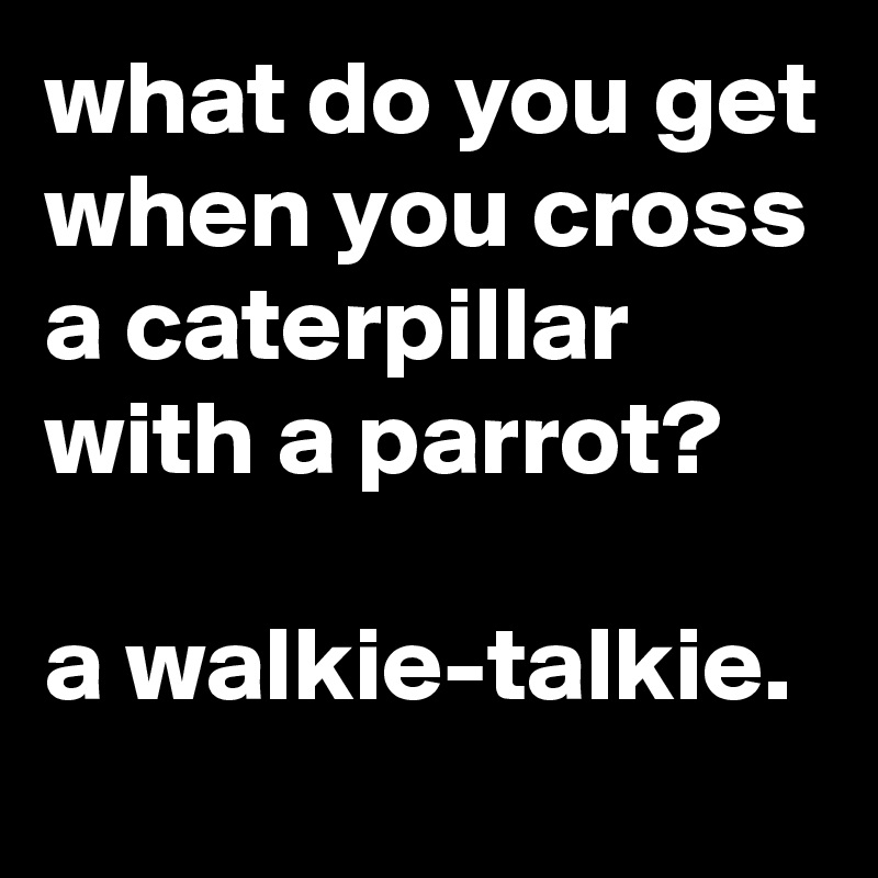 what do you get when you cross a caterpillar with a parrot?

a walkie-talkie.