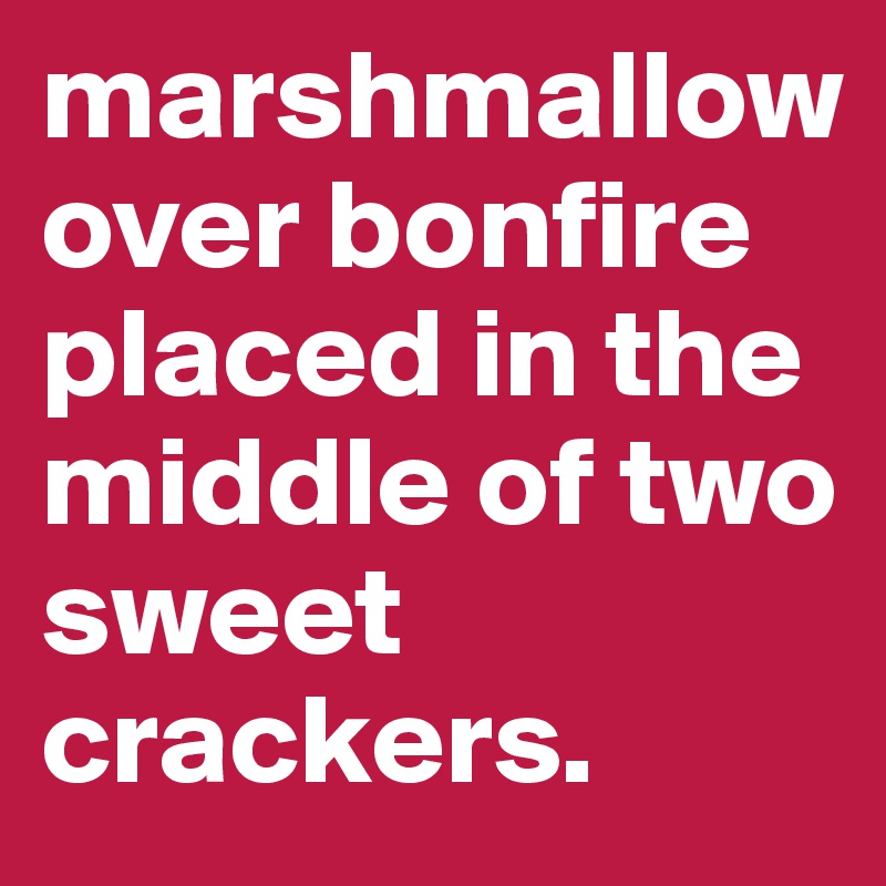 marshmallowover bonfire placed in the middle of two sweet crackers.