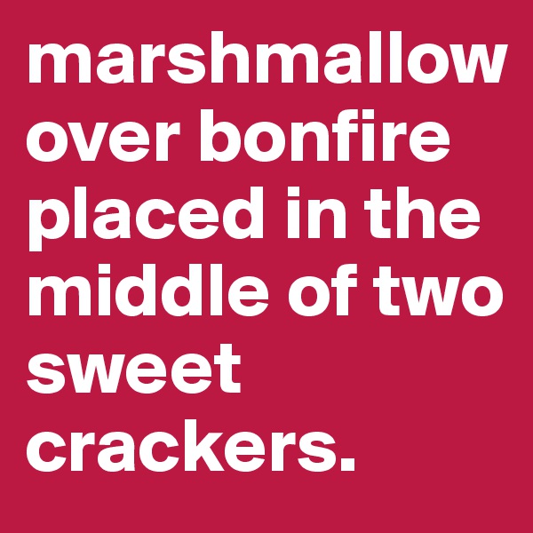 marshmallowover bonfire placed in the middle of two sweet crackers.