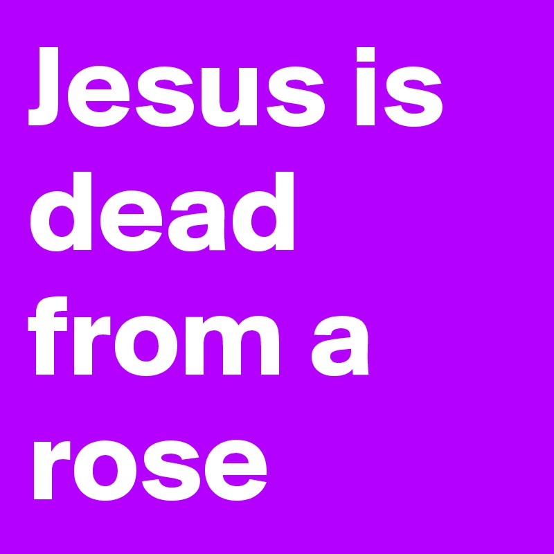 Jesus is dead from a rose