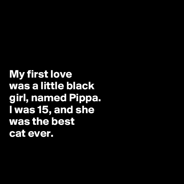 




My first love 
was a little black 
girl, named Pippa. 
I was 15, and she 
was the best 
cat ever. 


