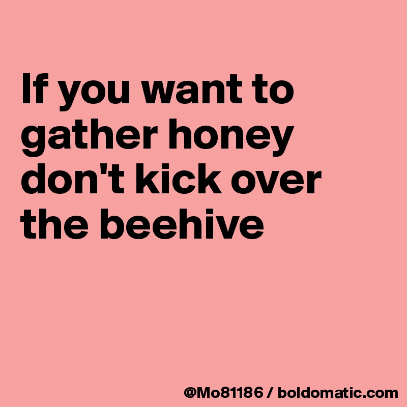 
If you want to gather honey don't kick over the beehive


