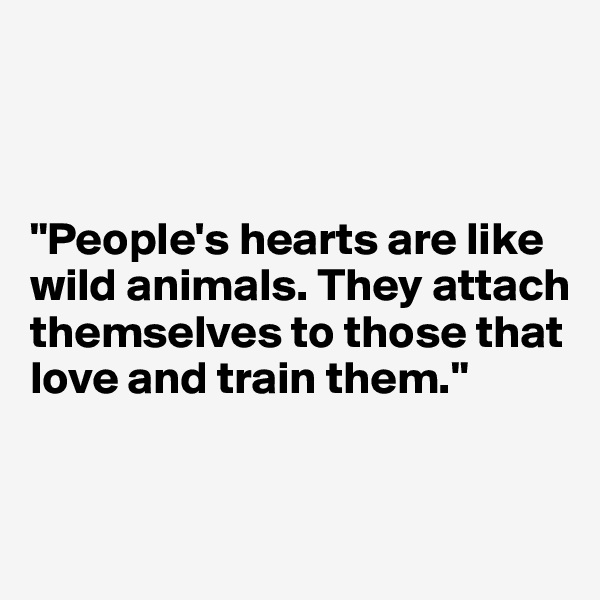 



"People's hearts are like wild animals. They attach themselves to those that love and train them."


