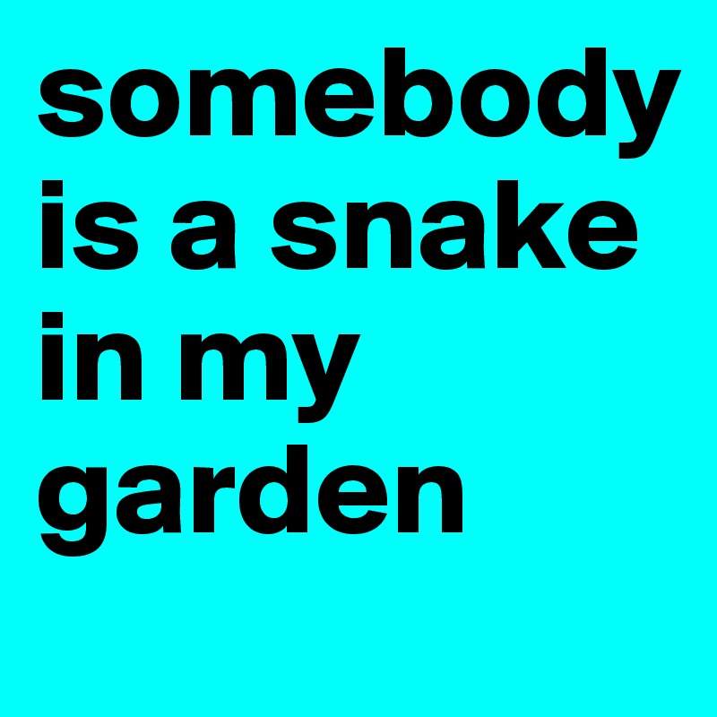 somebody is a snake in my garden