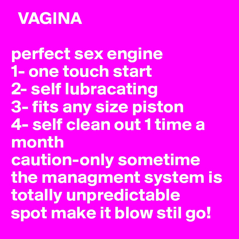   VAGINA 

perfect sex engine
1- one touch start
2- self lubracating
3- fits any size piston
4- self clean out 1 time a month                                            
caution-only sometime the managment system is totally unpredictable 
spot make it blow stil go!