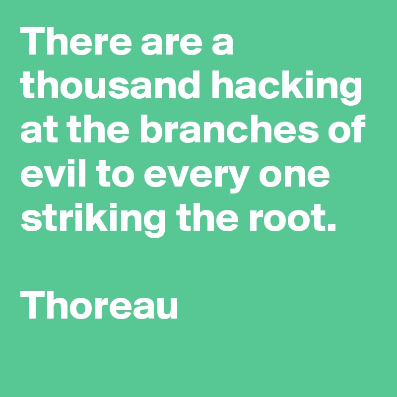 There are a thousand hacking at the branches of evil to every one striking the root. 
             
Thoreau