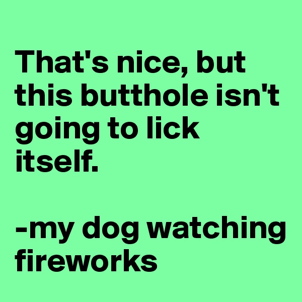 
That's nice, but this butthole isn't going to lick itself. 

-my dog watching fireworks
