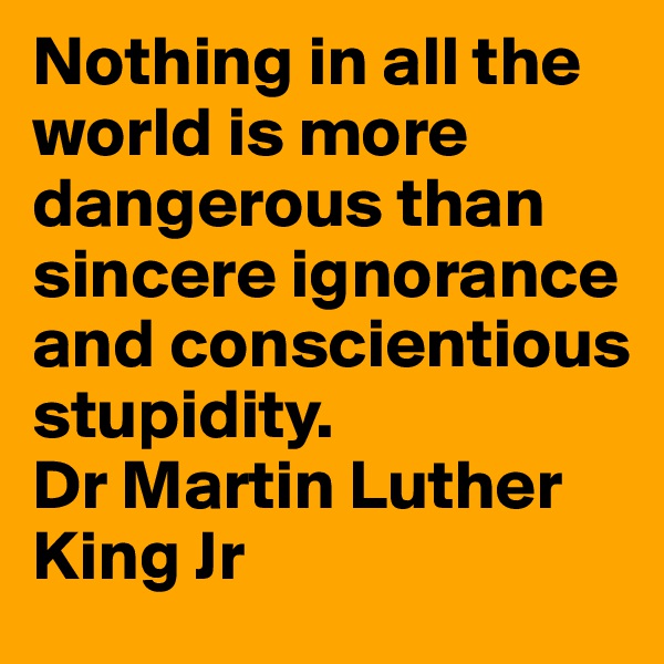 Nothing in all the world is more dangerous than sincere ignorance and conscientious stupidity.
Dr Martin Luther King Jr