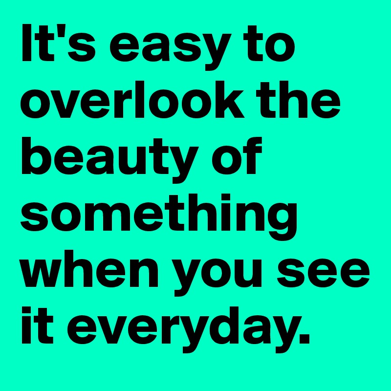 It's easy to overlook the beauty of something when you see it everyday.
