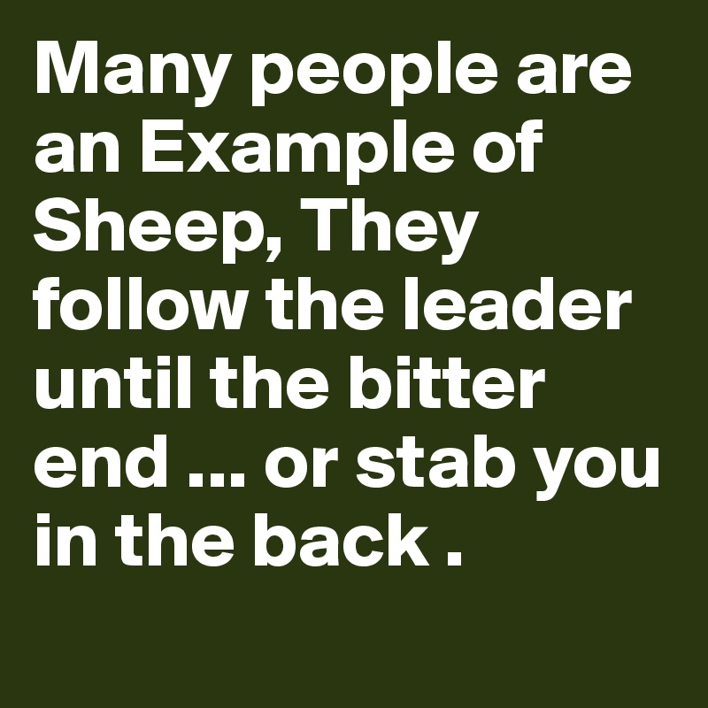 Many people are an Example of Sheep, They follow the leader until the bitter end ... or stab you in the back .
