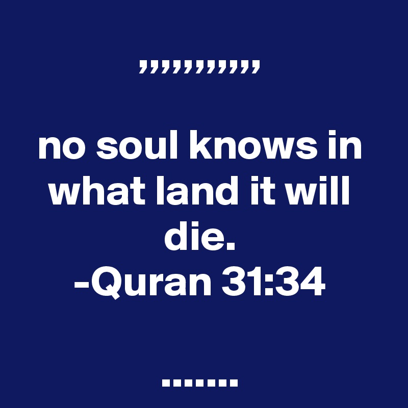 ,,,,,,,,,,,

no soul knows in what land it will die.
-Quran 31:34

.......