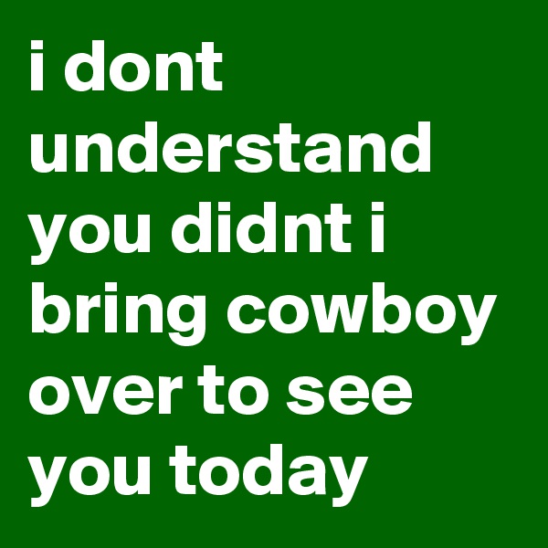 i dont understand you didnt i bring cowboy over to see you today