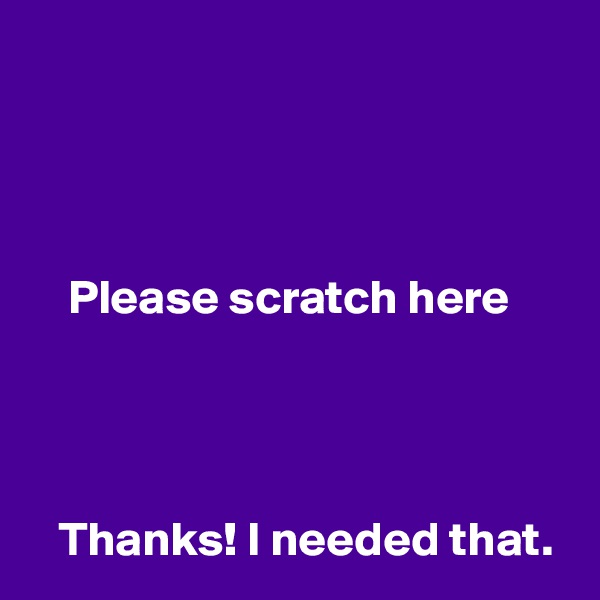 




    Please scratch here




   Thanks! I needed that.