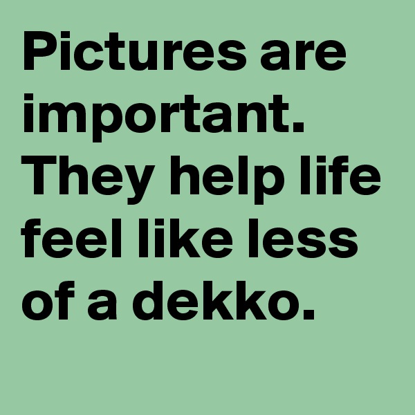 Pictures are important. They help life feel like less of a dekko.
