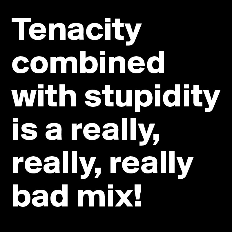 Tenacity combined with stupidity is a really, really, really bad mix!