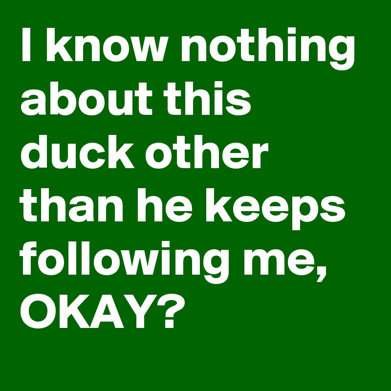 I know nothing about this duck other than he keeps following me, 
OKAY?
