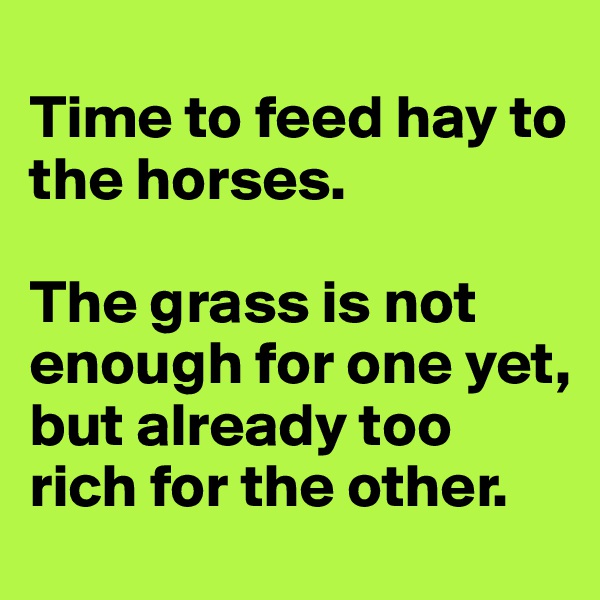 
Time to feed hay to the horses.

The grass is not enough for one yet, but already too rich for the other.