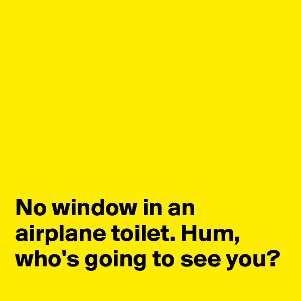 






No window in an airplane toilet. Hum, who's going to see you?