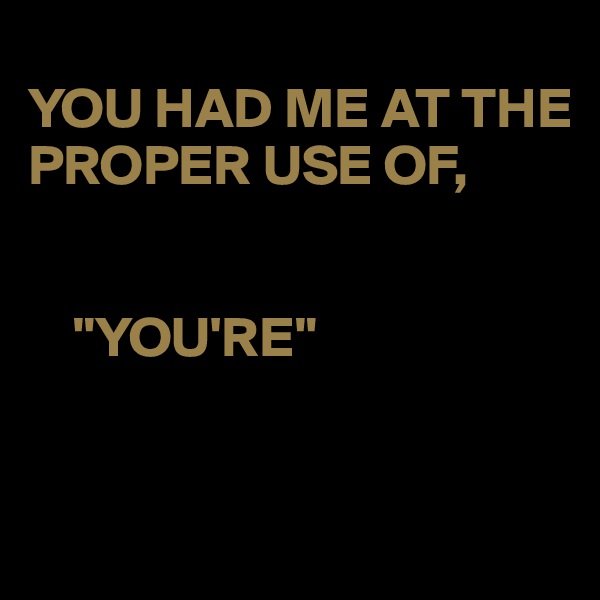 
YOU HAD ME AT THE PROPER USE OF,


    "YOU'RE"


