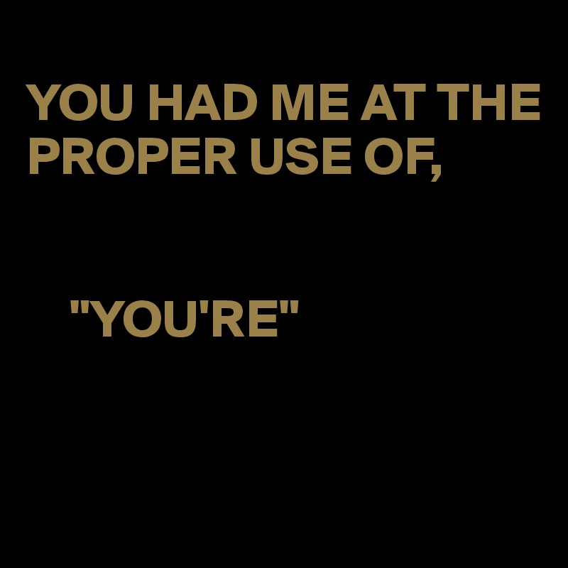 
YOU HAD ME AT THE PROPER USE OF,


    "YOU'RE"


