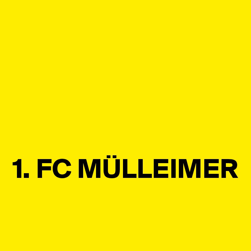 




1. FC MÜLLEIMER

